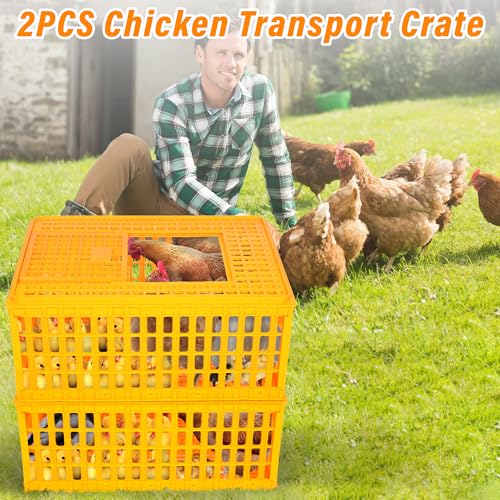 lukar 2PCS Plastic Poultry Carrier Crate for Chickens, 29.5 x 21.7 x 13 Inch A3267