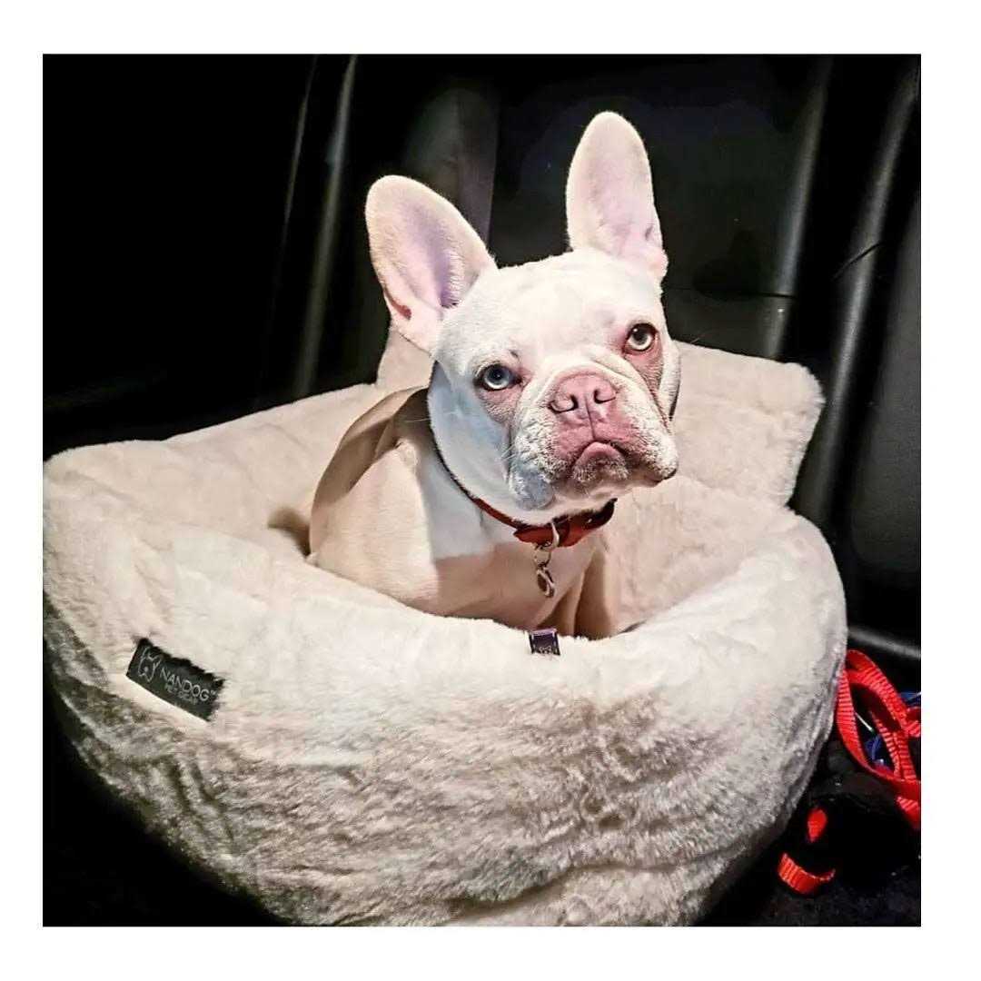 Nandog Pet Gear Ivory Cloud Collection Dog Car Seat Bed Y640876