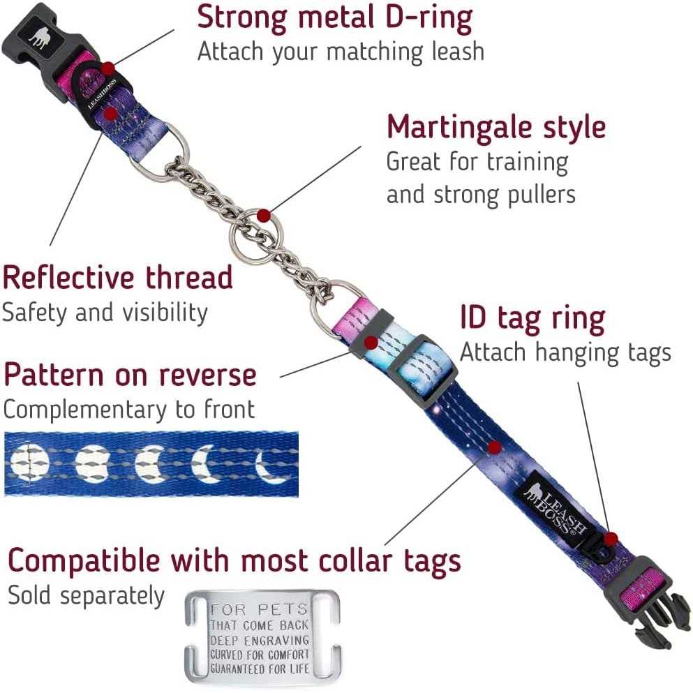 Leashboss Patterned Reflective Chain Martingale Dog Collar D6781