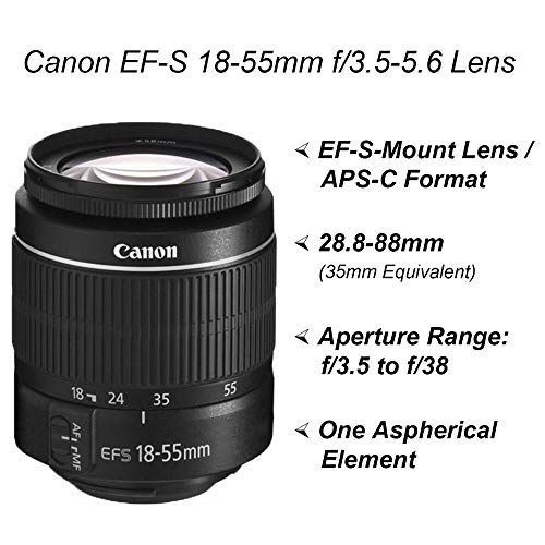 Canon EOS 2000D / Rebel T7 DSLR Camera with 18-55mm & 75-300mm Lenses, 64GB Card, Tripod, Case (Renewed) V912